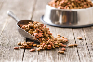 Pet Food Ingredients: What Does Yours Say?