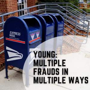 Young: Multiple Frauds in Multiple Ways