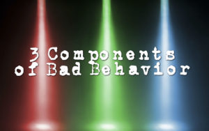 3-components-of-bad-behavior