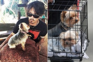 Johnny-Depp-Featured